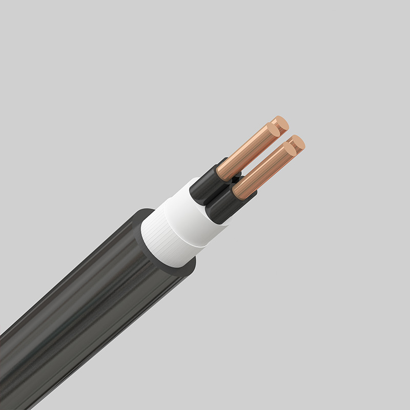 氟塑料电力电缆：FV-0.6/1kV