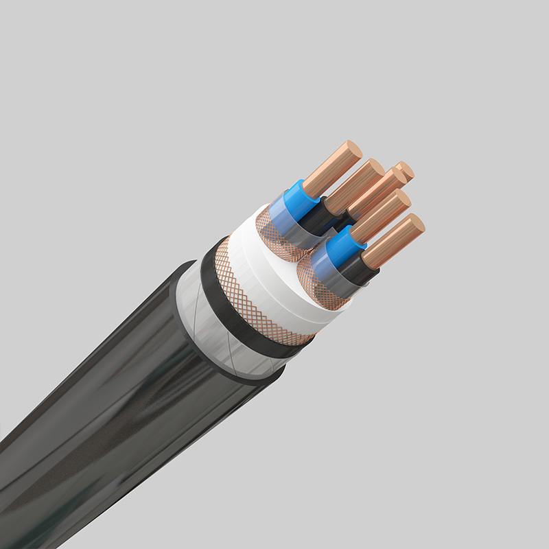 计算机电缆-DJYPVP22