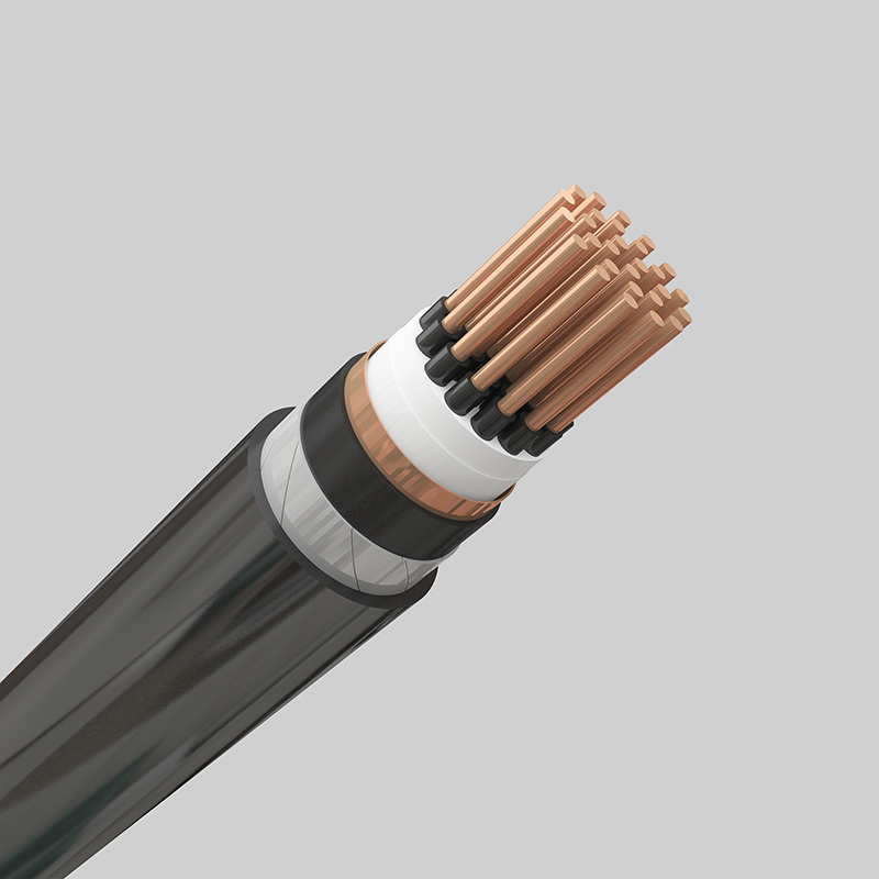 众邦控制电缆KVVP2-22