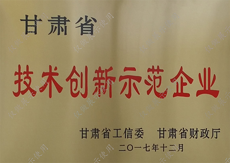 众邦技术创新示范企业证书