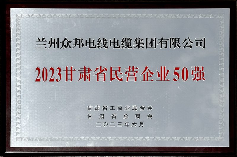 众邦民营企业50强证书