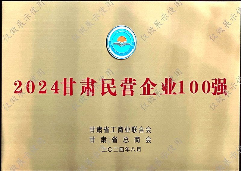 民营企业100强